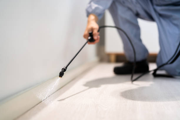 Bed Bug Pre-Treatment Preparation Assessment in Morris